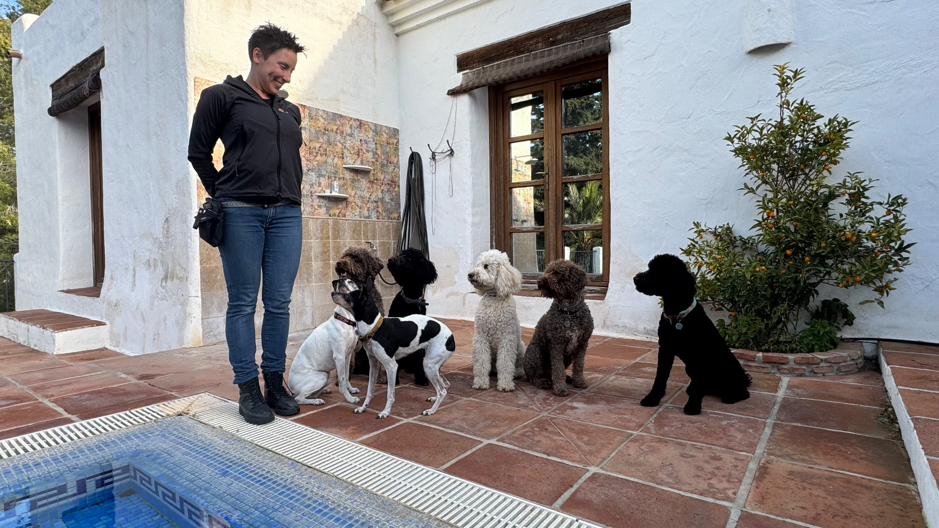 La manada de Carola y Jan con su adiestradora junto a la piscina de la finca